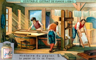 紙の歴史：5、c1900