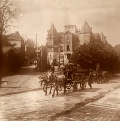 馬が引く救急車、ベルギー、c1914-c1918