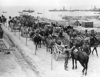 馬車輸送、トルコ、ダーダネルスでの同盟作戦、1915年〜1916年