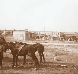 馬、ソンムトゥルブ、北フランス、c1914-c1918