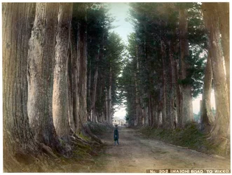 Imaichi Road at Nikko, Japan, early 20th century