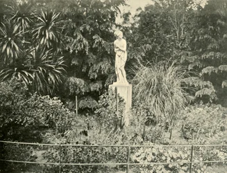 フィッツロイ庭園、メルボルン、1901年。