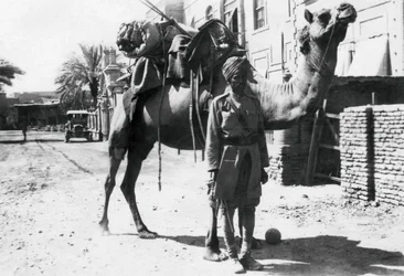 インドのラクダ隊員、バグダッド、1918年