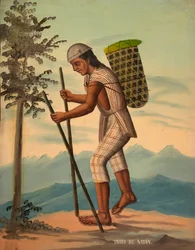 インディオ・サパロ、1914年以前。