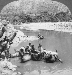 インドのパンジャブ州、Sutlej川でフェリーボートとして使用された膨らんだ去勢牛の皮、c1900年代