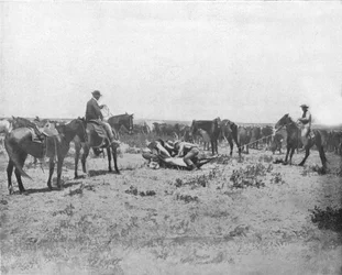 アメリカの大草原でのブランドの調査、c1900。