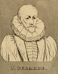 J.ジェラルデ、c1545-1612、1830。
