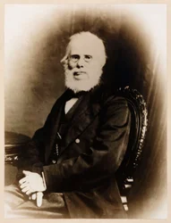 ジョン・ストリングフェロー、イギリスの先駆的飛行家、1880年頃
