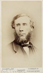 John Tyndall, アイルランドの物理学者, 1875年頃