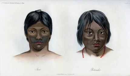 ブラジリオ・グアラニー族のジュリ族とボトクド族、1848年