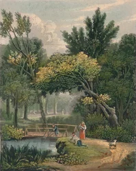 ランバート、19世紀