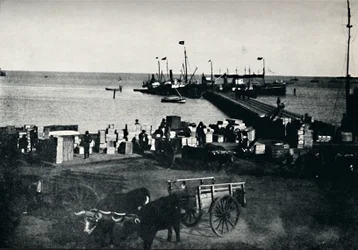 着陸場所、プンタアレナス、1911