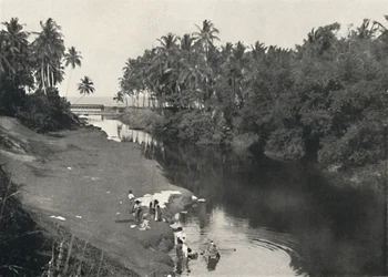コロンボとラビニア山の間のデヒワラの川の風景、1926年
