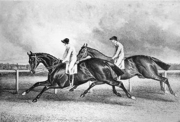 ローンセロットとマルーン、c1840s、1911