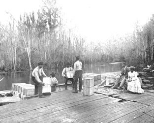 米国フロリダ州オクラワハ川にオレンジをロード、c1900。