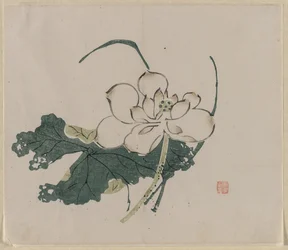Lotus Blossom、1368-1644。