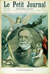 ルイパスツール、フランスの化学者、1895年