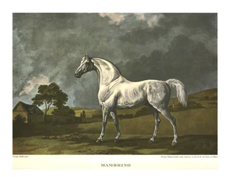 マンブリノ、c1779、c1955。