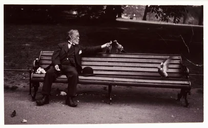 Man on a park bench, c 1920 公園のベンチに座ってハトに餌をやっている男性のスナップショット写真。