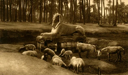 メンフィス-アラバスタースフィンクス、c1918-c1939。