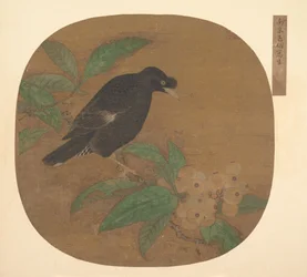 ビワの枝にミナ鳥。
