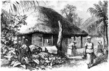 生息地、サントドミンゴ、1873