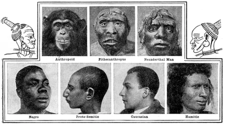 鼻の自然の進化的デザイン、1922