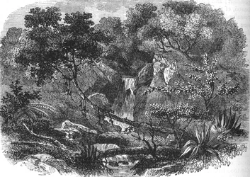ニュージーランドの風景、c1880