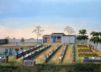 保育園、中国、c1820-1840