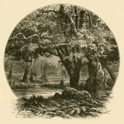 ブラッドゲートのオークス、1898年。
