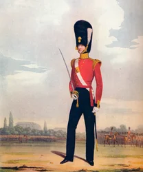 第87またはロイヤルアイルランドのFusiliers、c1833の役員。 1914