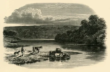 ディー、c1890。