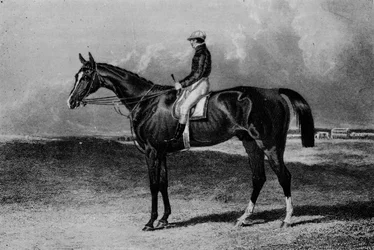 オーランド、c1841-1860、1911