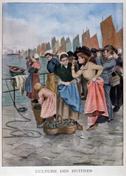 オイスターセラー、1902