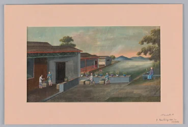 茶葉をチェストに詰める作業、1890-1910年