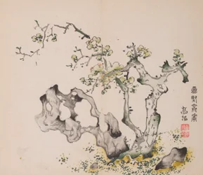 shi Z Hu Zのページもございます。