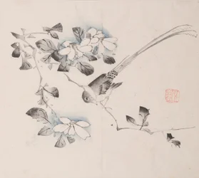shi Z Hu Zのページもございます。