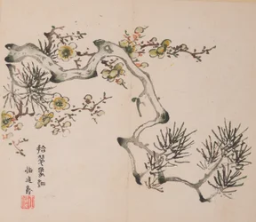 shi Z Hu Zのページもございます。