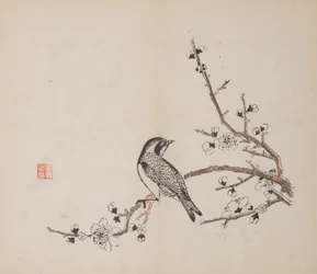 shi Z Hu Zのページもございます。