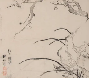 shi Z Hu Zのページもございます。