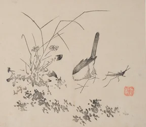 shi Z Hu Zのページもございます。