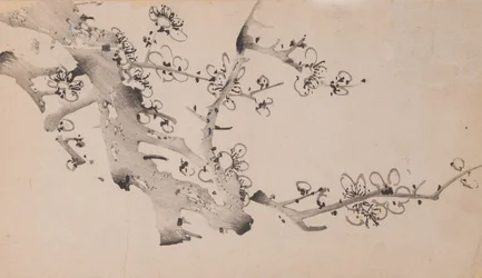 shi Z Hu Zのページもございます。