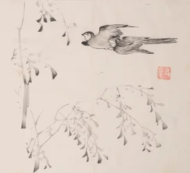 shi Z Hu Zのページもございます。
