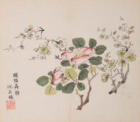 shi Z Hu Zのページもございます。