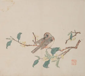 shi Z Hu Zのページもございます。