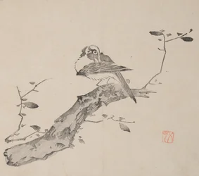 shi Z Hu Zのページもございます。