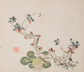 shi Z Hu Zのページもございます。