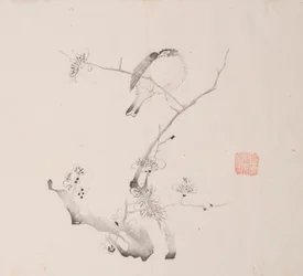 shi Z Hu Zのページもございます。