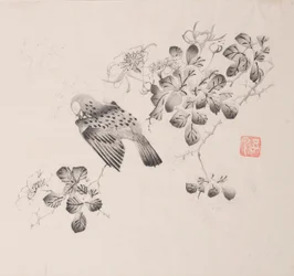 shi Z Hu Zのページもございます。