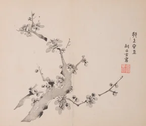 shi Z Hu Zのページもございます。